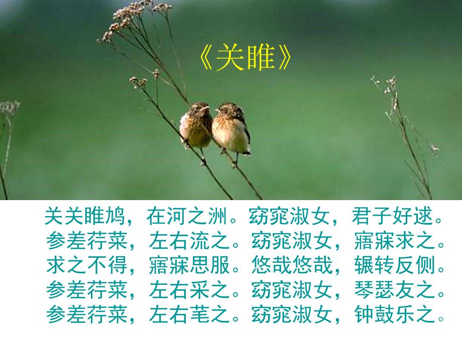 第1頁(yè)