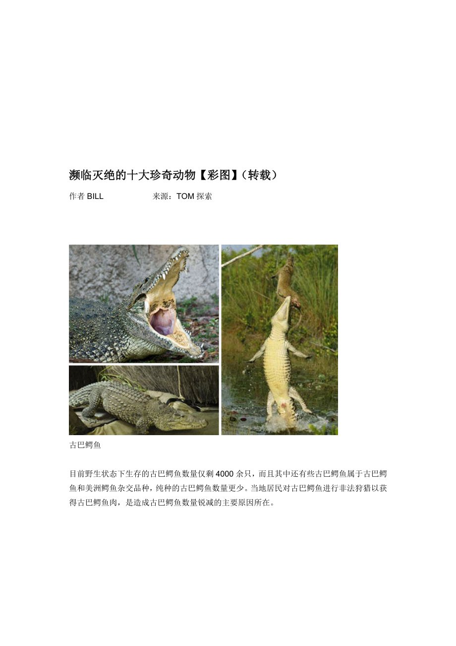 濒临灭绝的十大珍奇动物_第1页
