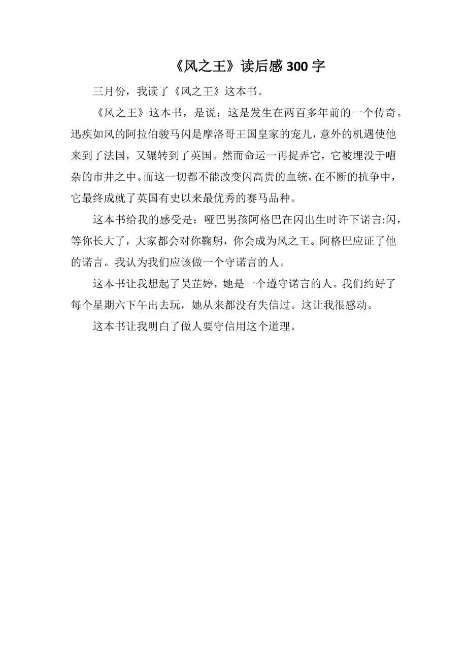 《风之王》读后感300字_第1页