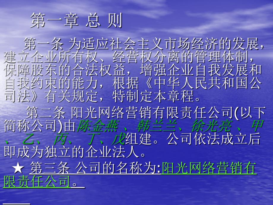 阳光网络营销有限责任公司章程_第2页