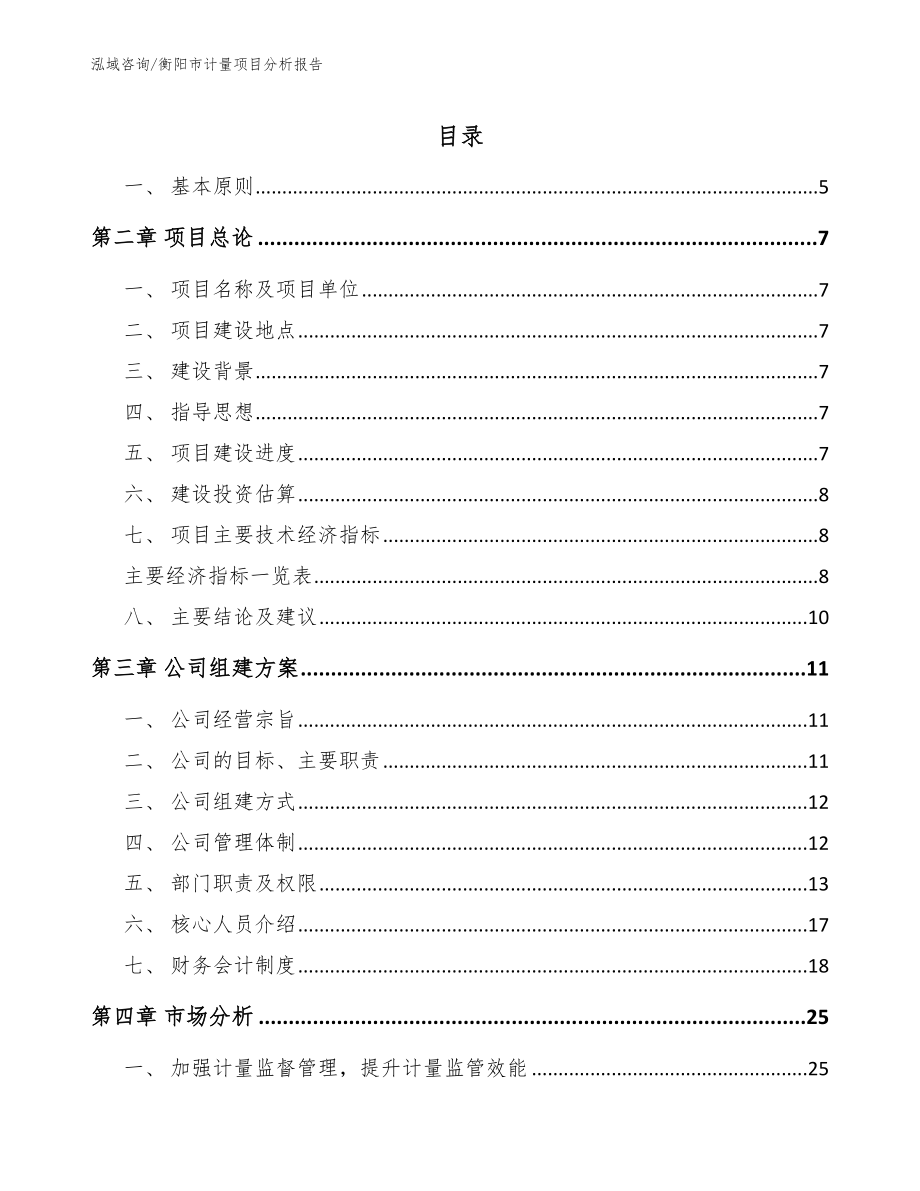 衡阳市计量项目分析报告_范文_第1页