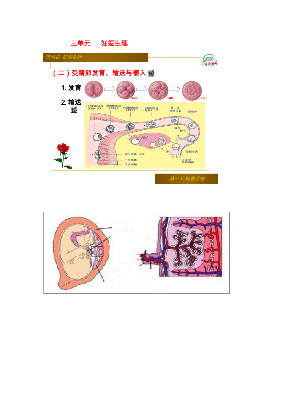 2022年医师资格考试辅导妊娠与分娩_第1页