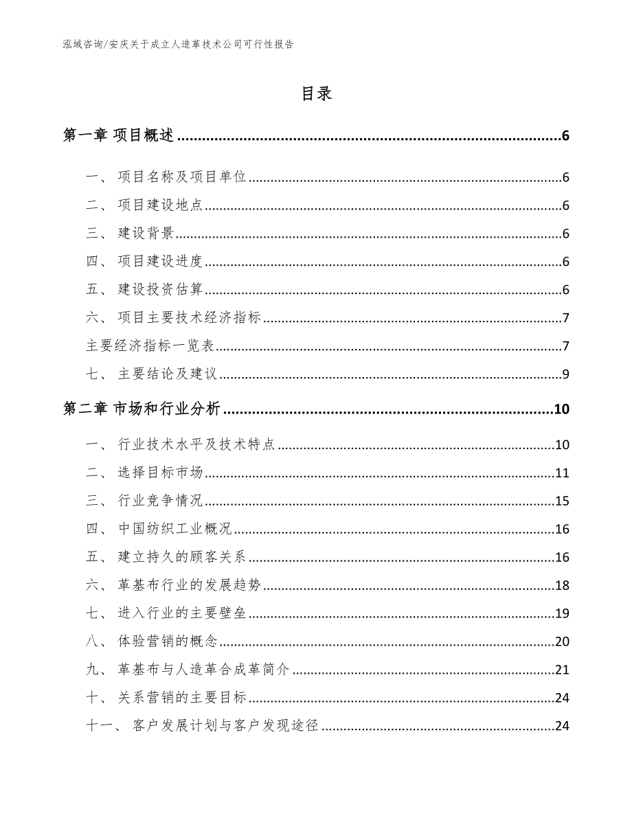 安庆关于成立人造革技术公司可行性报告（模板）_第1页
