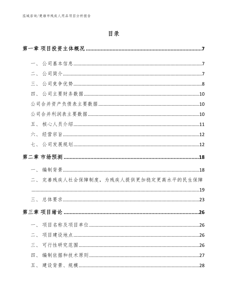 楚雄市残疾人用品项目分析报告模板参考_第1页
