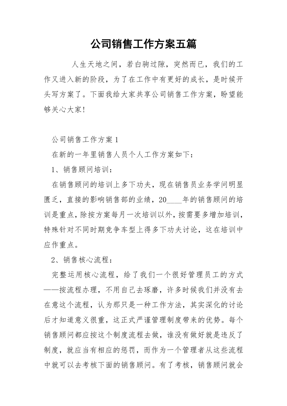 公司销售工作方案五篇_第1页
