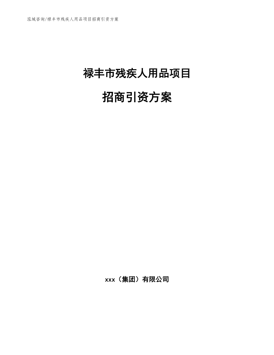 禄丰市残疾人用品项目招商引资方案（模板）_第1页