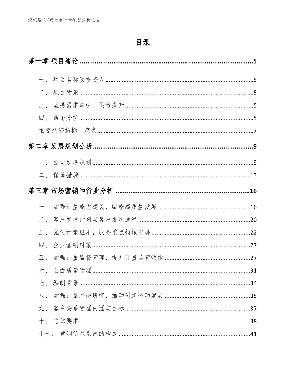 鹤岗市计量项目分析报告（模板范本）_第1页