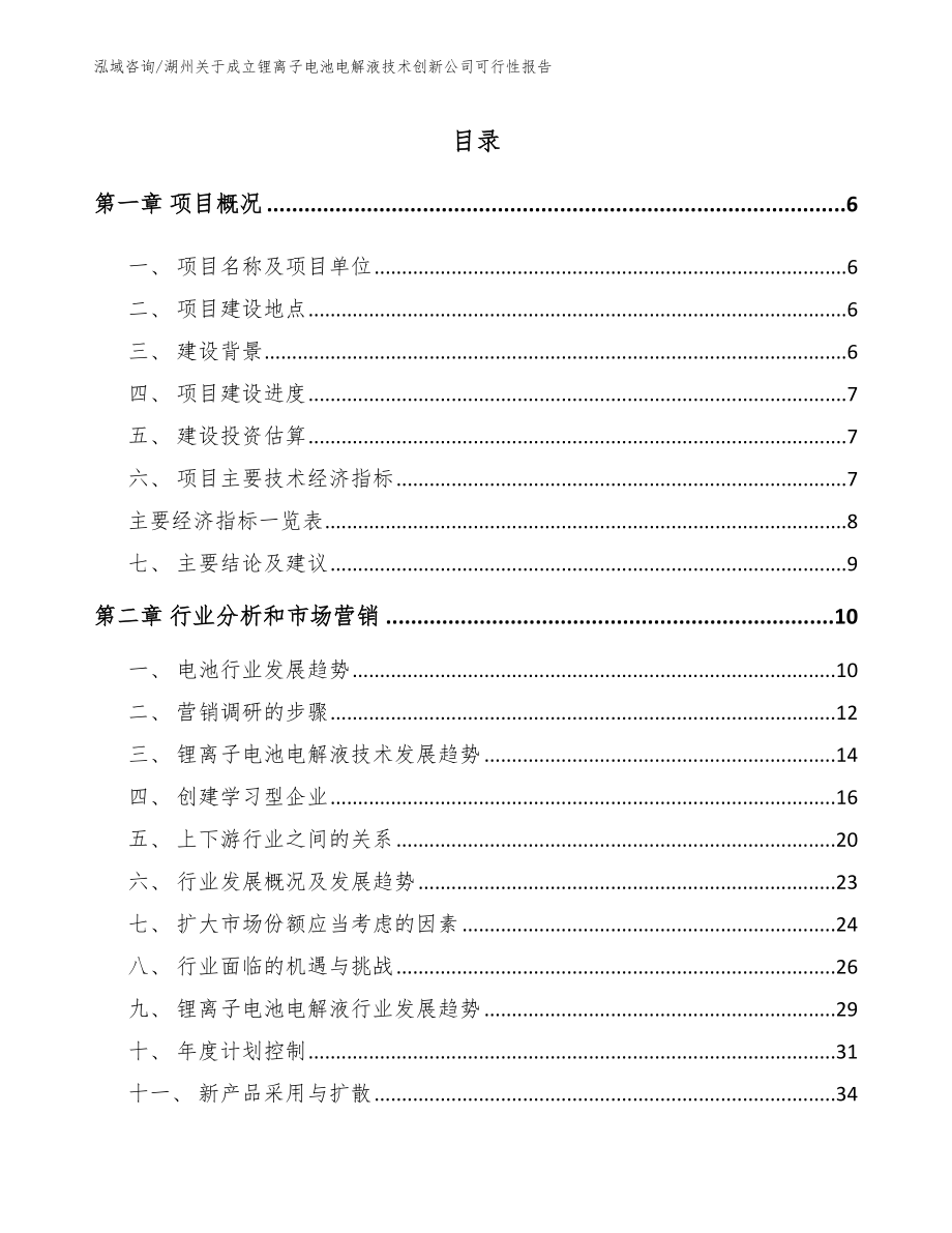 湖州关于成立锂离子电池电解液技术创新公司可行性报告（模板）_第1页