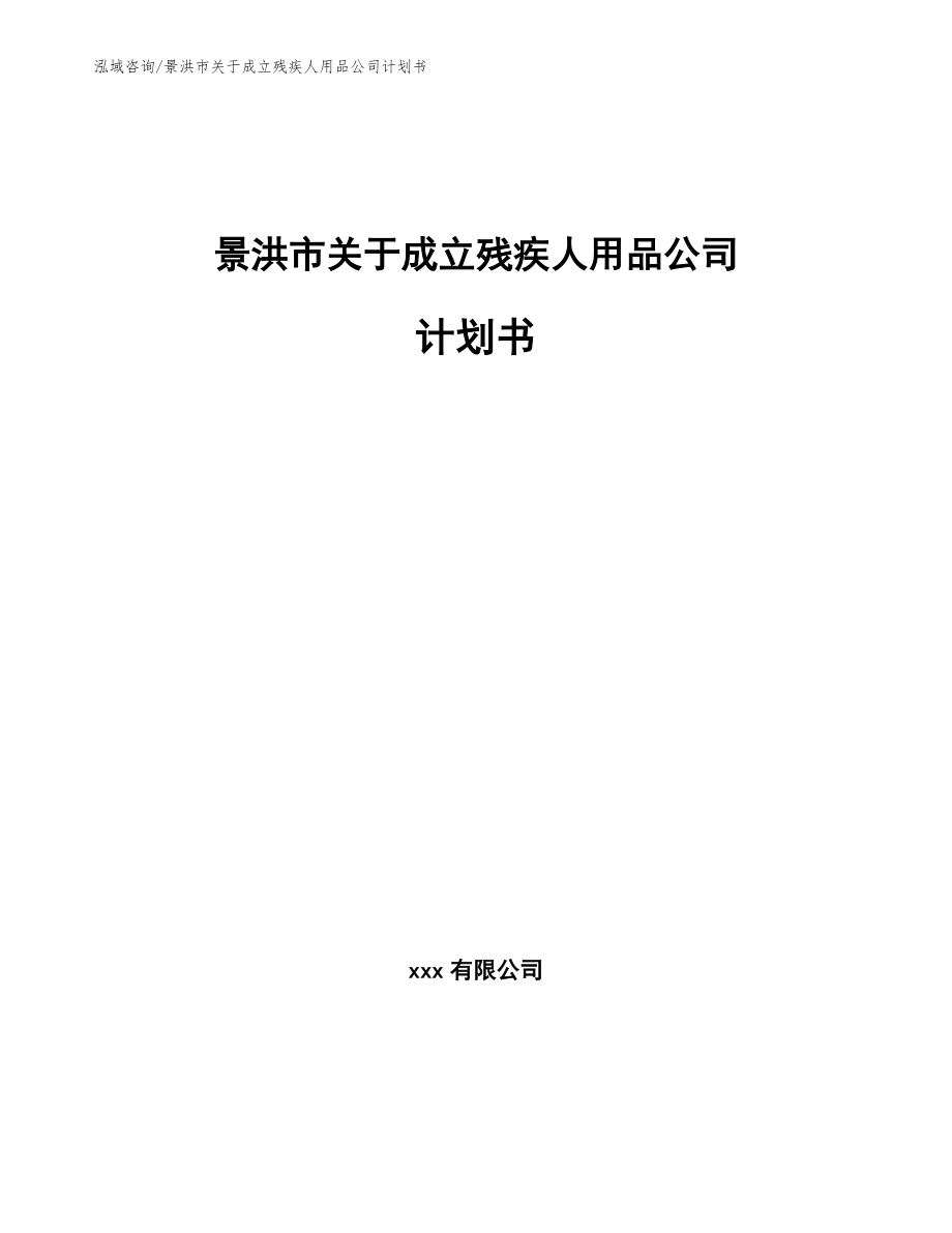 景洪市关于成立残疾人用品公司计划书（参考范文）_第1页