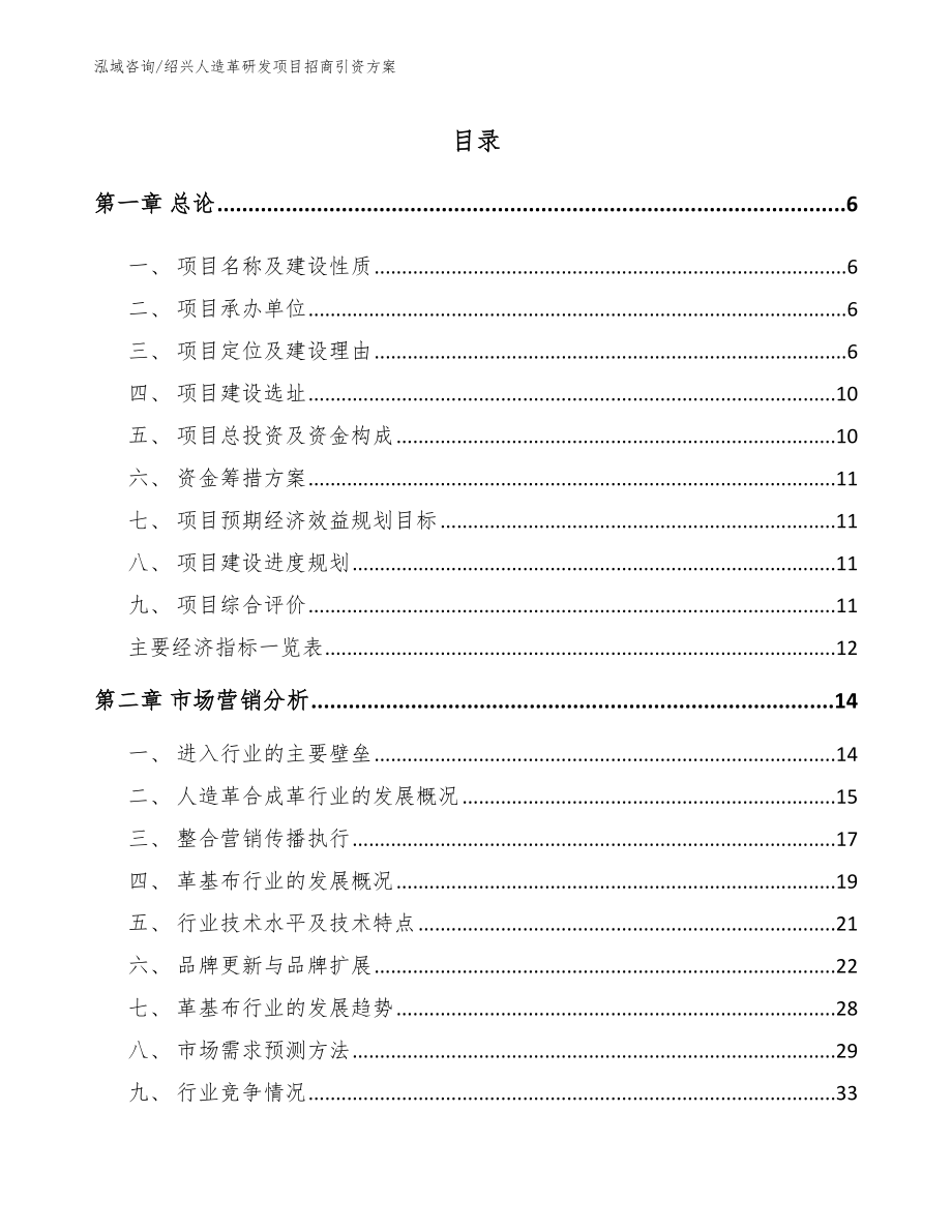 绍兴人造革研发项目招商引资方案_第1页