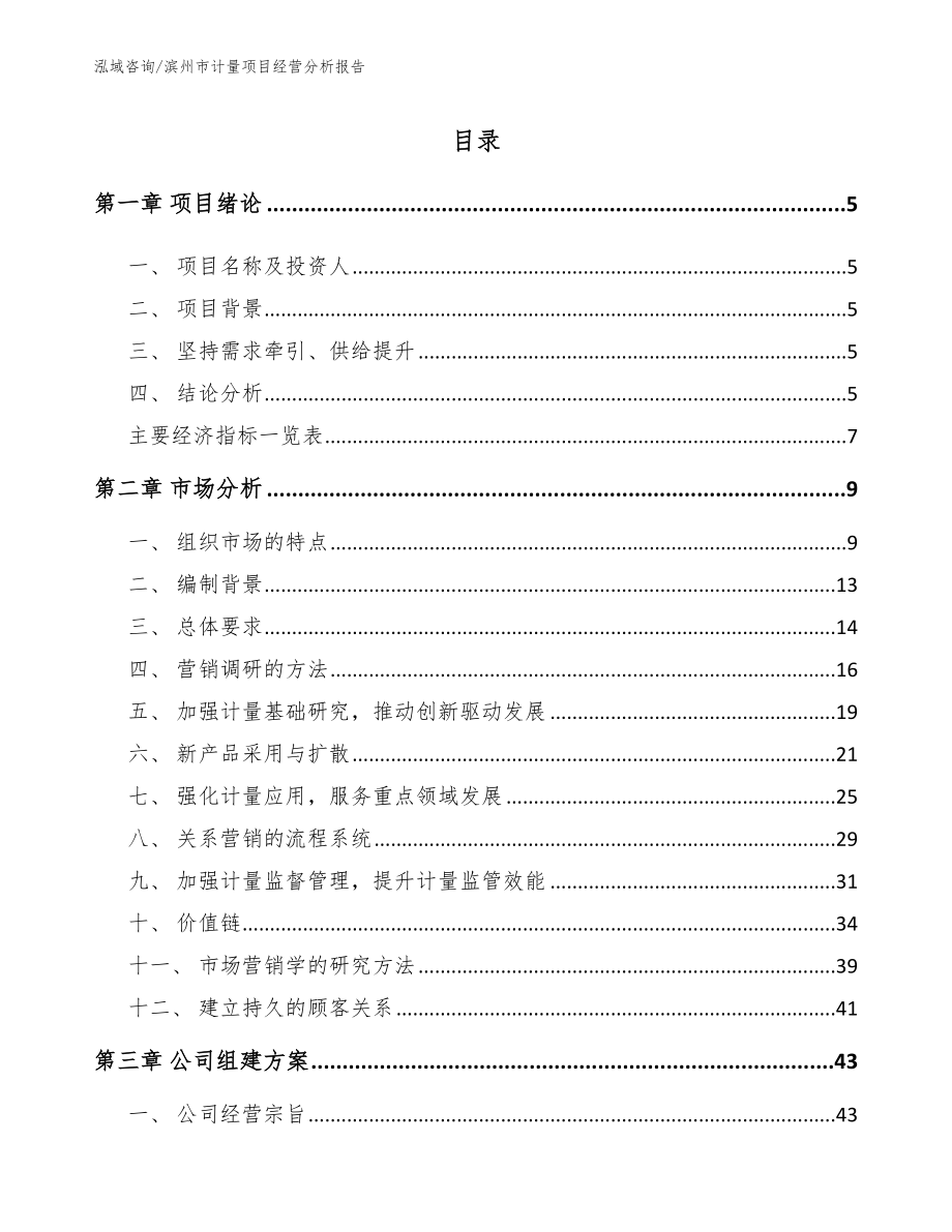 滨州市计量项目经营分析报告模板范文_第1页