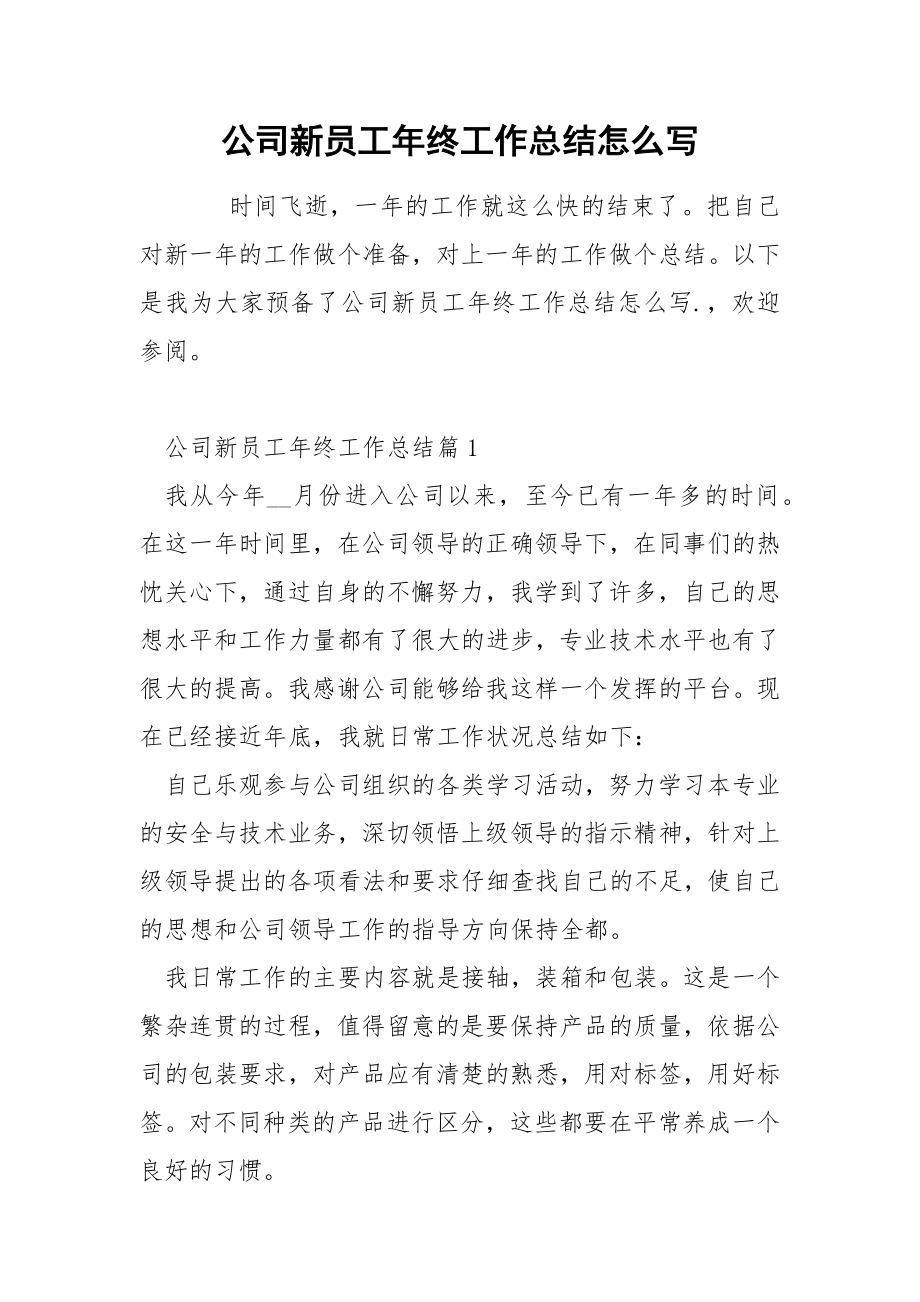 公司新员工年终工作总结怎么写_第1页