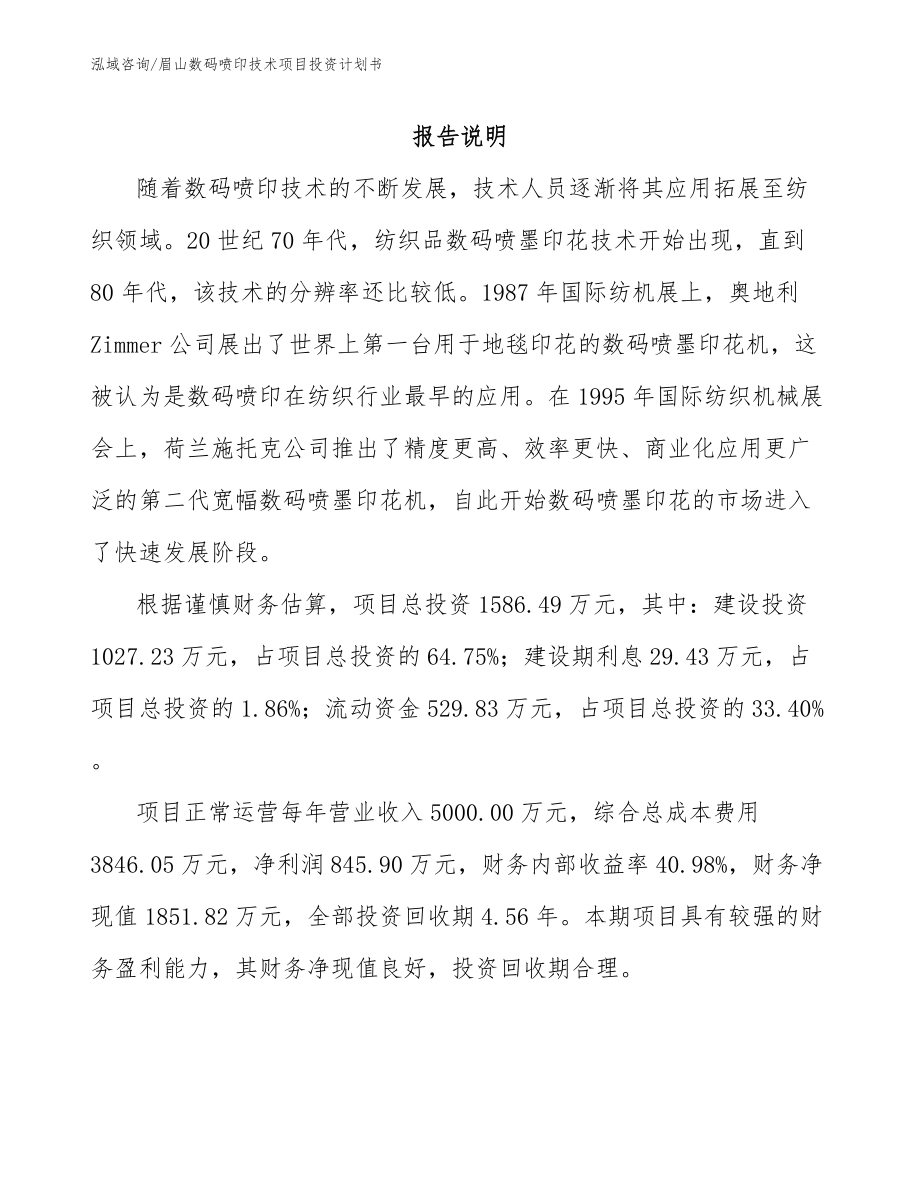 眉山数码喷印技术项目投资计划书_第1页