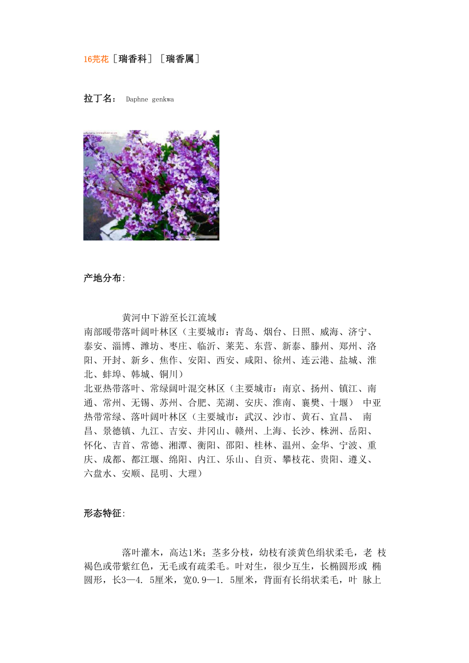 植物种类介绍_第1页