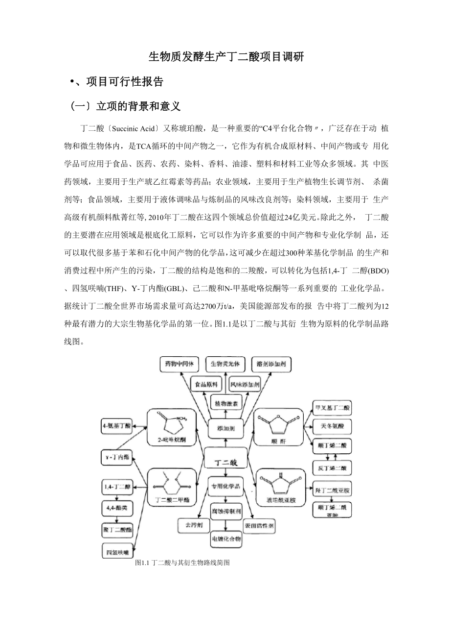 制备丁二酸相关方法_第1页