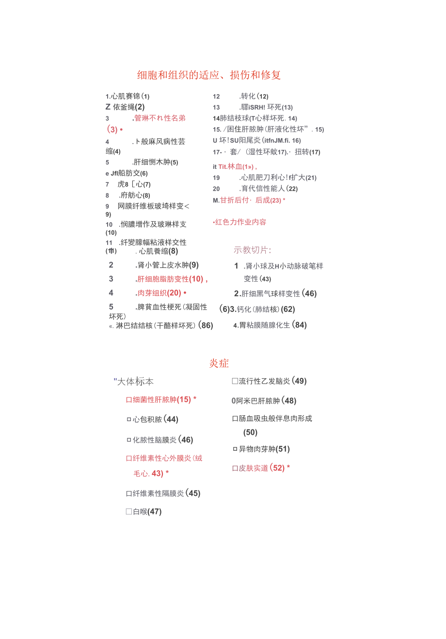 比较人体形态学大体标本汇总(大学期末复习资料)_第1页