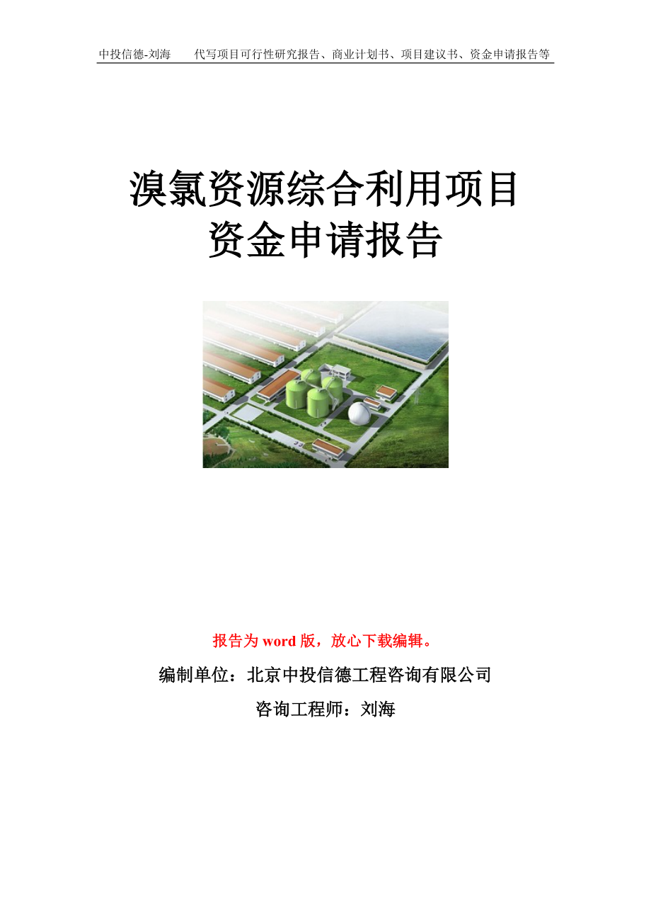 溴氯资源综合利用项目资金申请报告模板_第1页