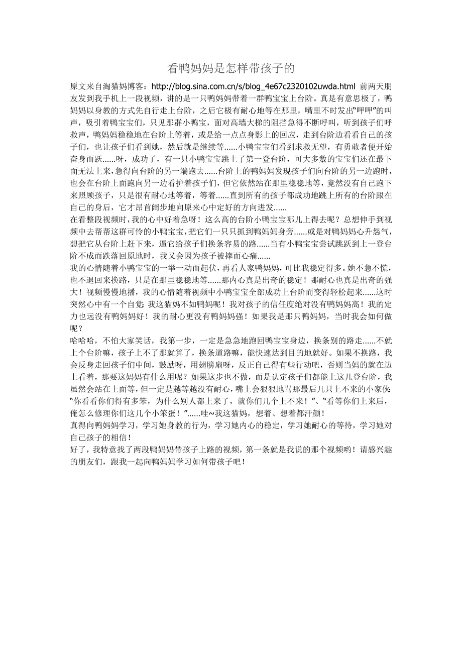 看鸭妈妈是怎样带孩子的_第1页