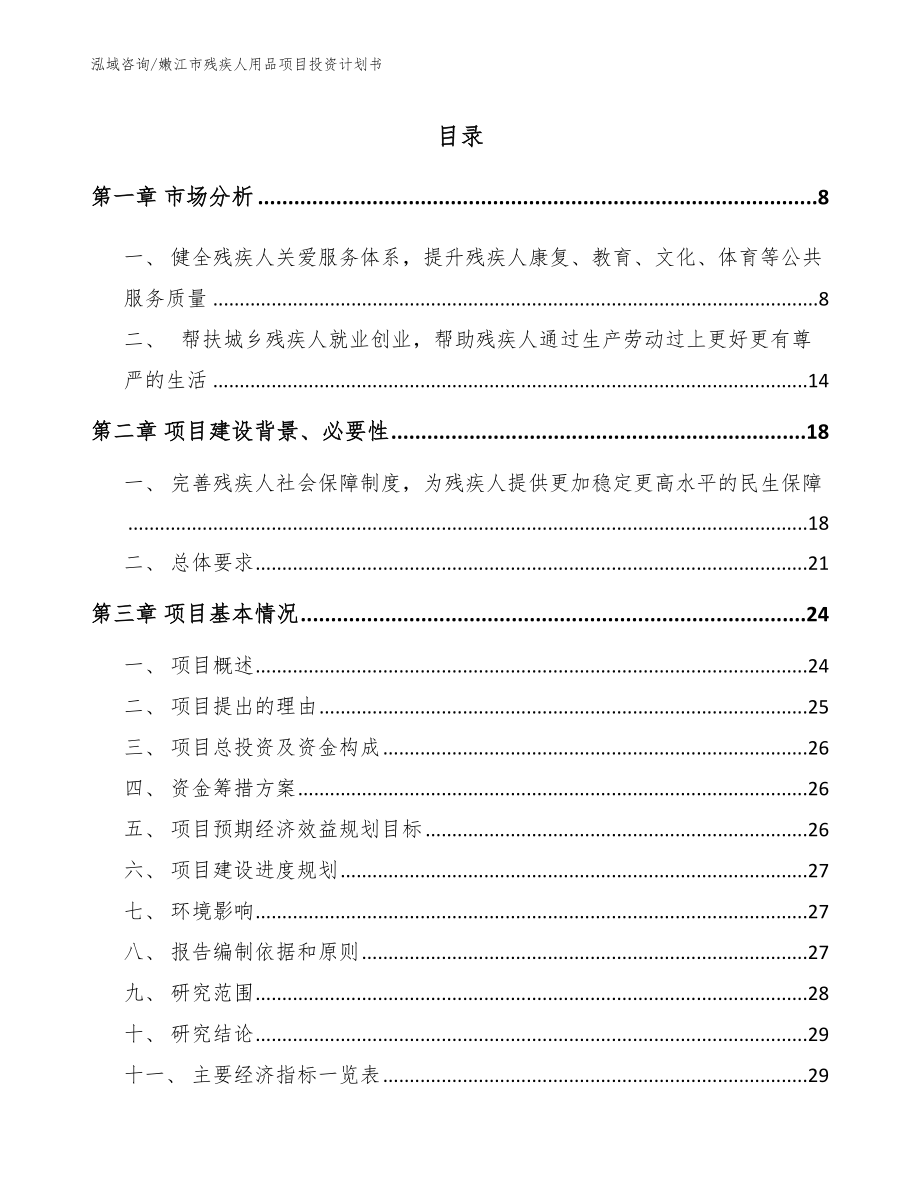 嫩江市残疾人用品项目投资计划书_范文模板_第1页