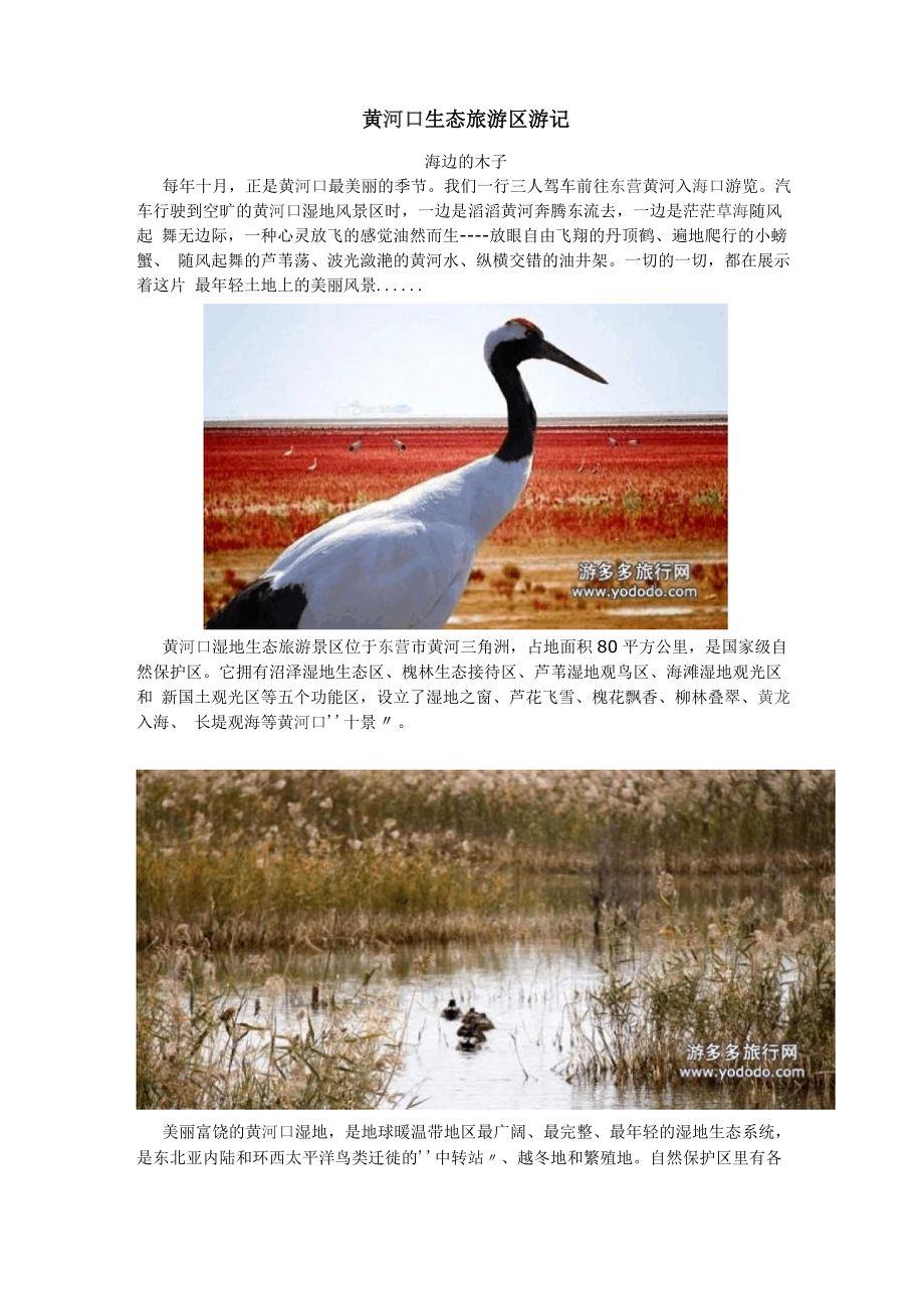 东营黄河口生态区_第1页