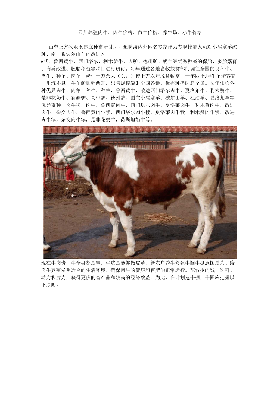 四川养殖肉牛肉牛价格黄牛价格养牛场小牛价格_第1页