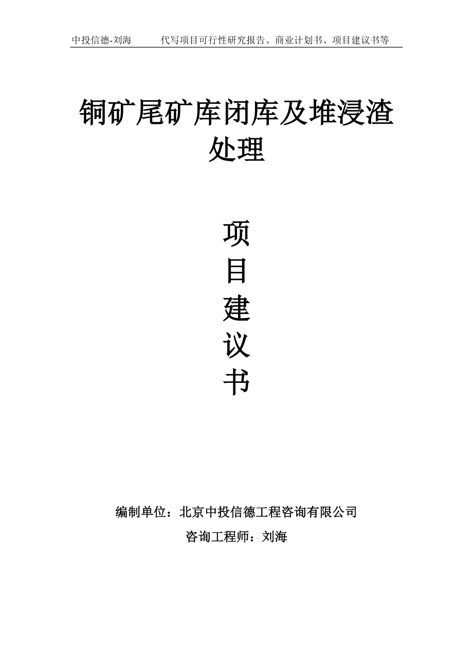 铜矿尾矿库闭库及堆浸渣处理项目建议书-写作模板_第1页