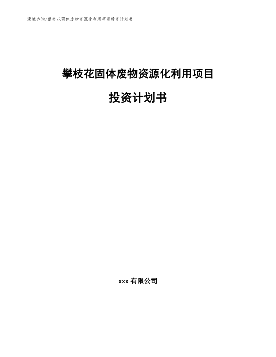 攀枝花固体废物资源化利用项目投资计划书_参考模板_第1页