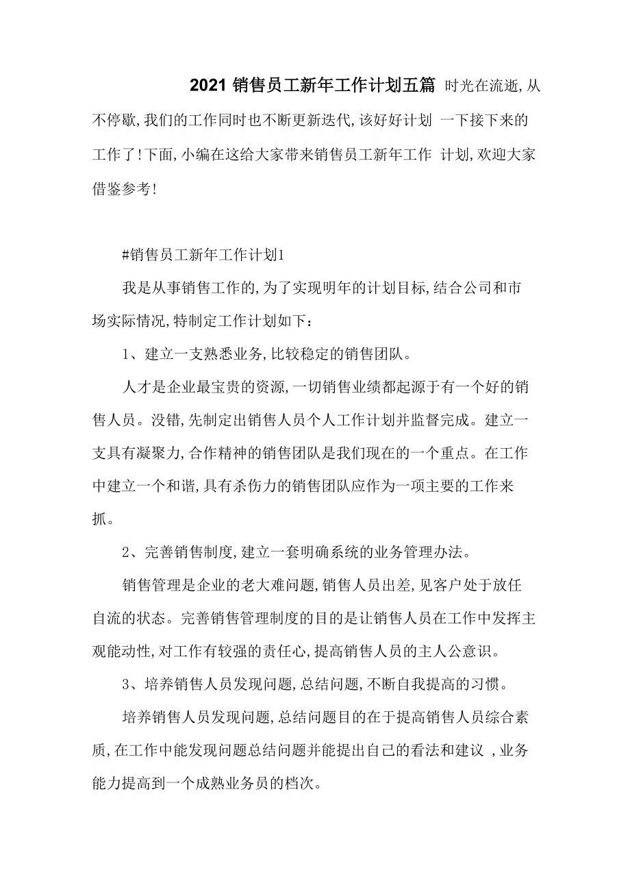 2021销售员工新年工作计划五篇_第1页