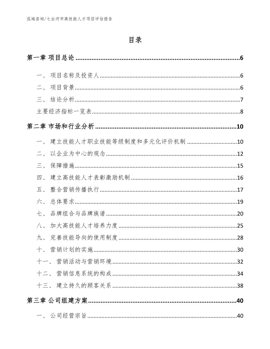 七台河市高技能人才项目评估报告（模板范文）_第1页