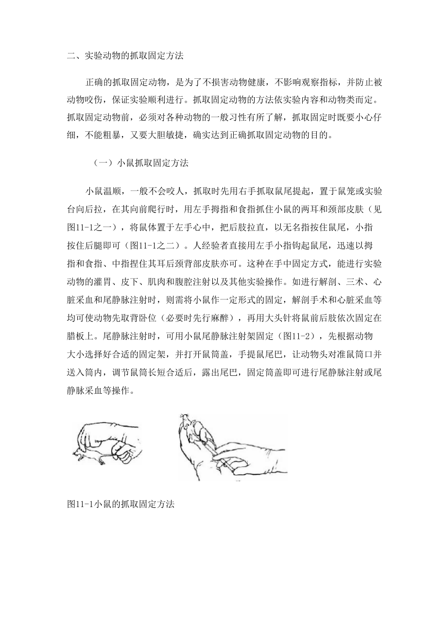 实验动物的抓取固定方法_第1页