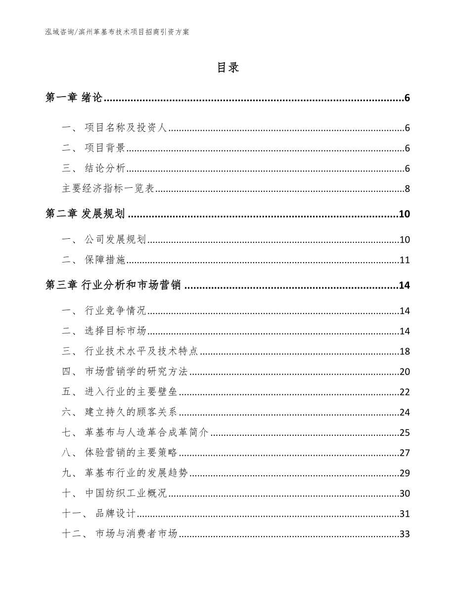 滨州革基布技术项目招商引资方案_第1页