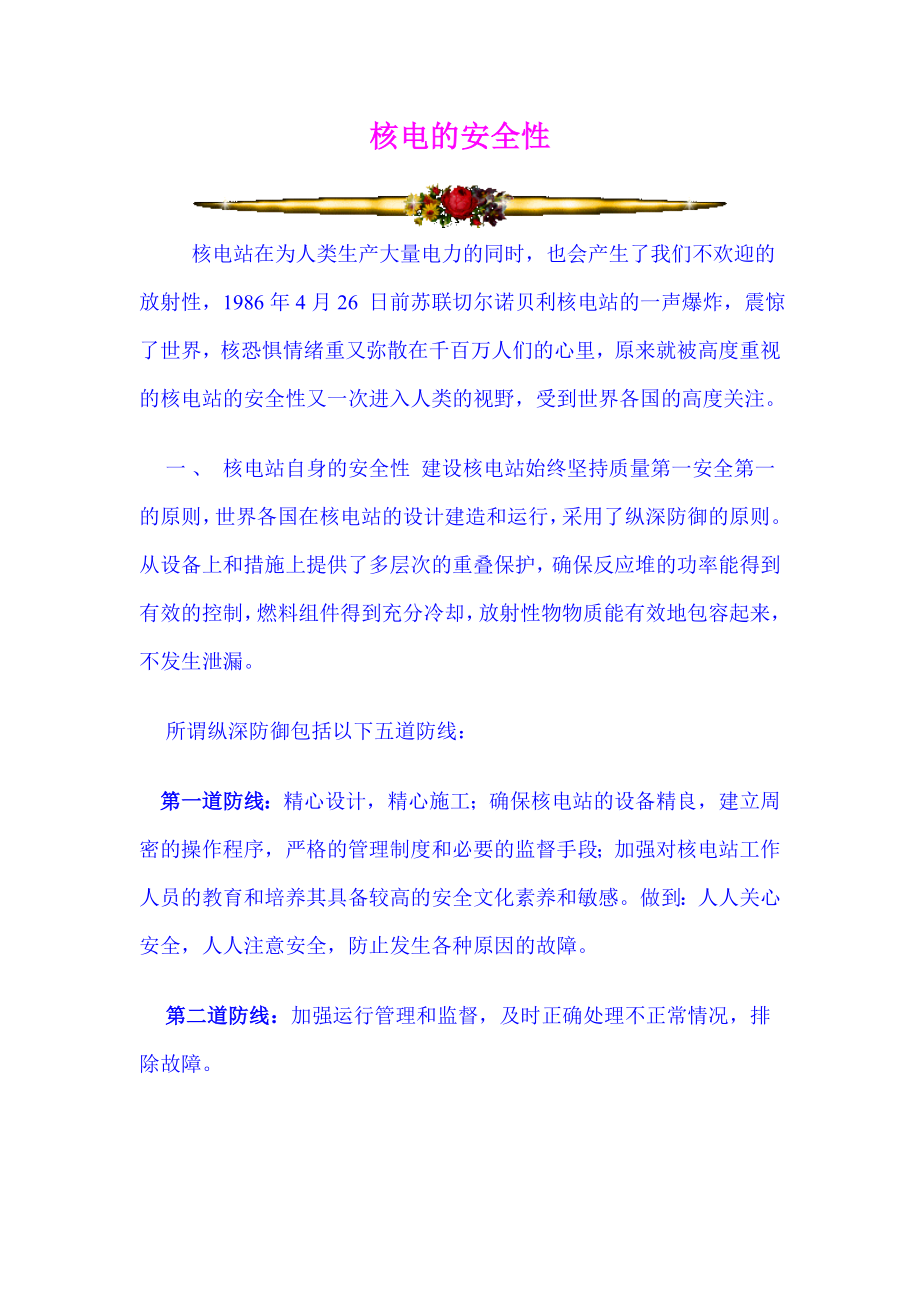 核电的安全性_第1页