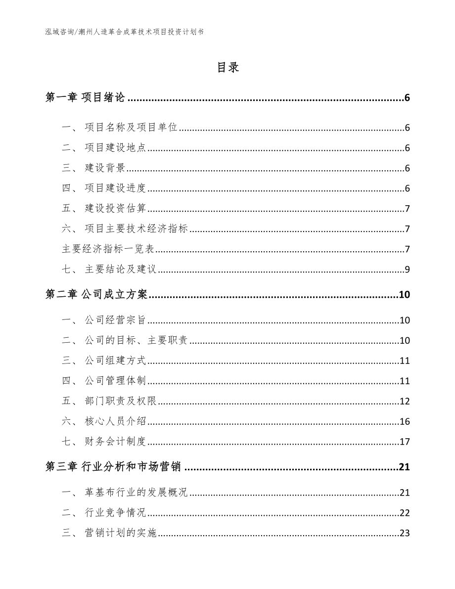 潮州人造革合成革技术项目投资计划书_第1页