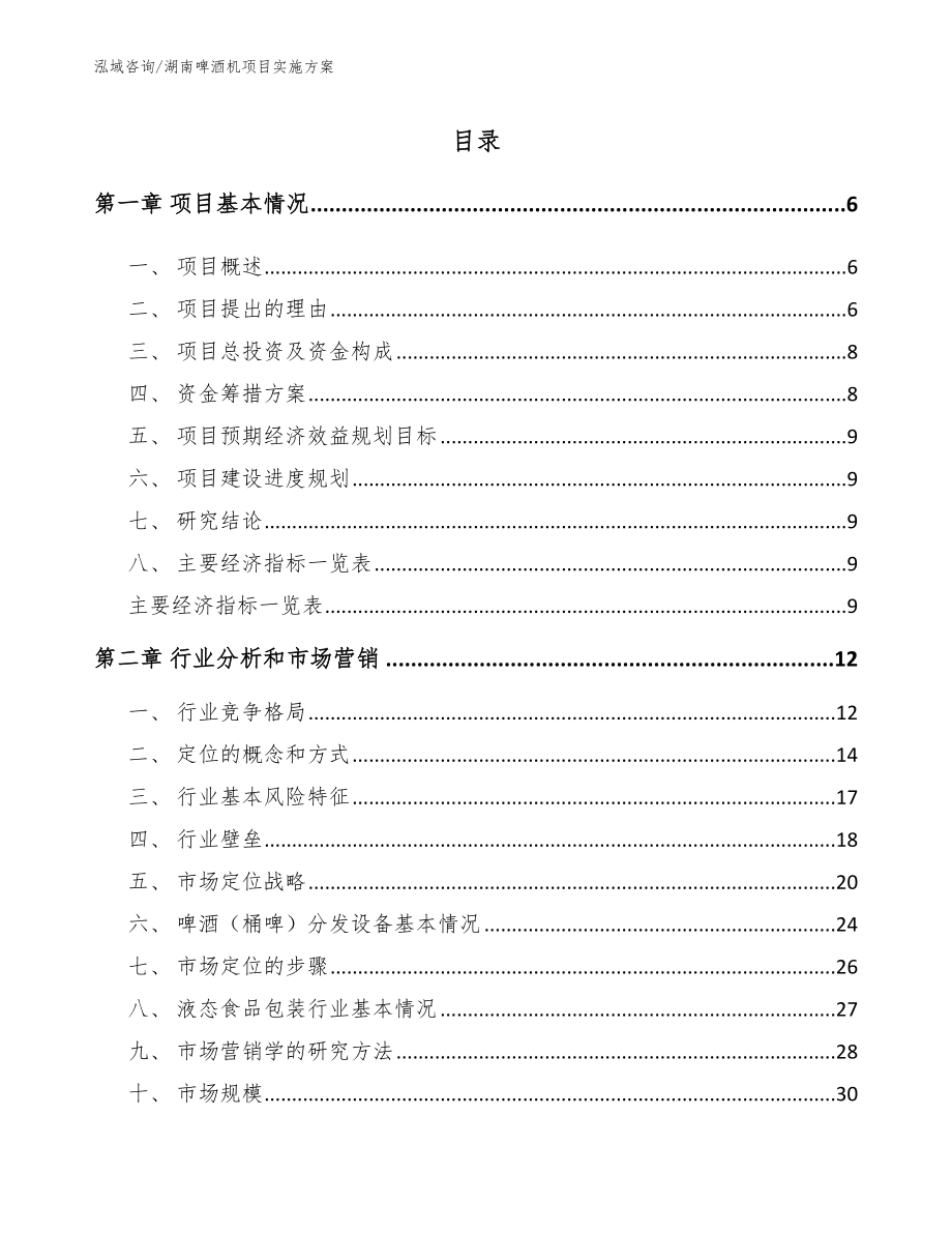 湖南啤酒机项目实施方案参考范文_第1页
