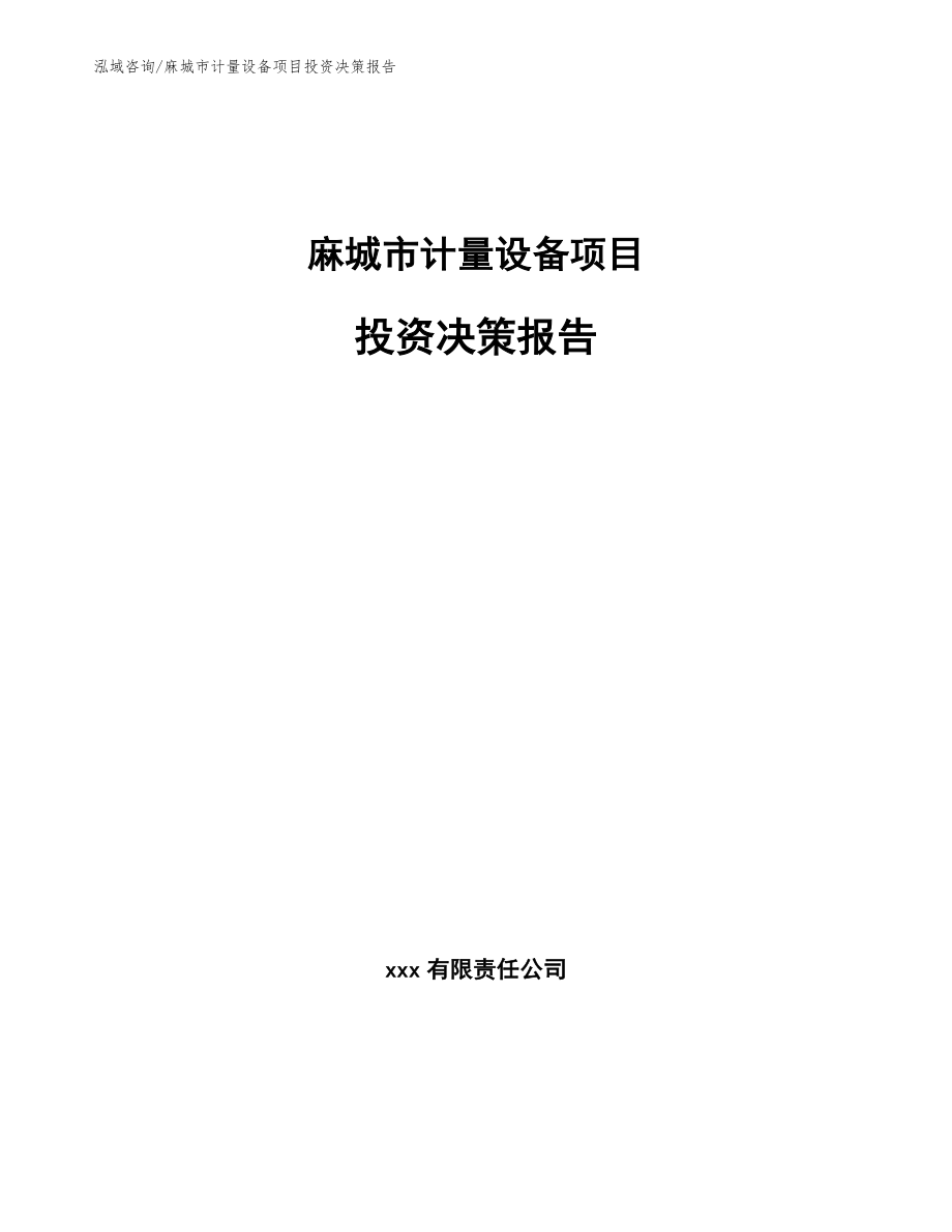 麻城市计量设备项目投资决策报告_第1页