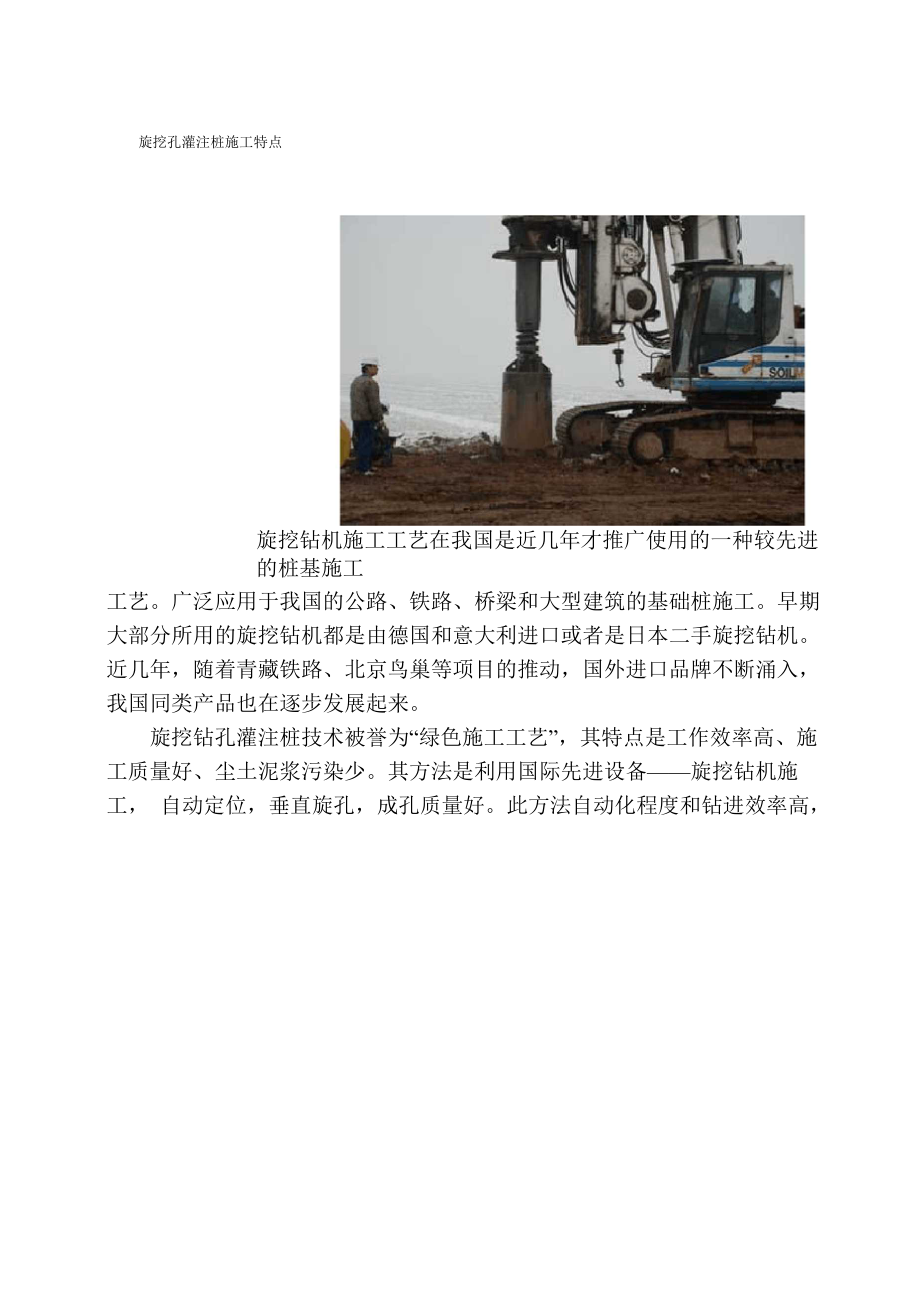 旋挖灌注桩和预制桩特点_第1页