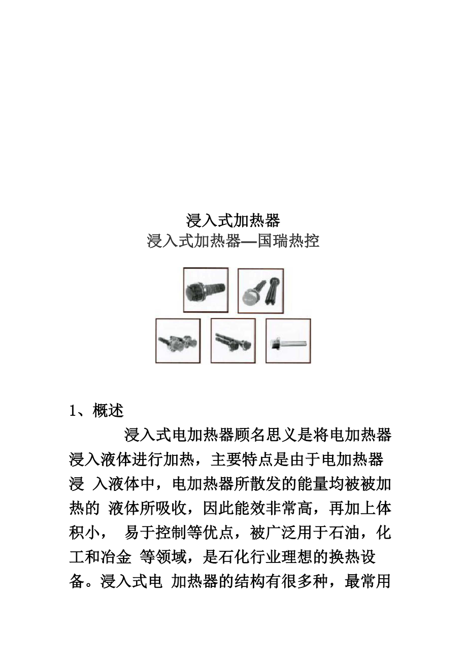 浸入式加热器_第1页