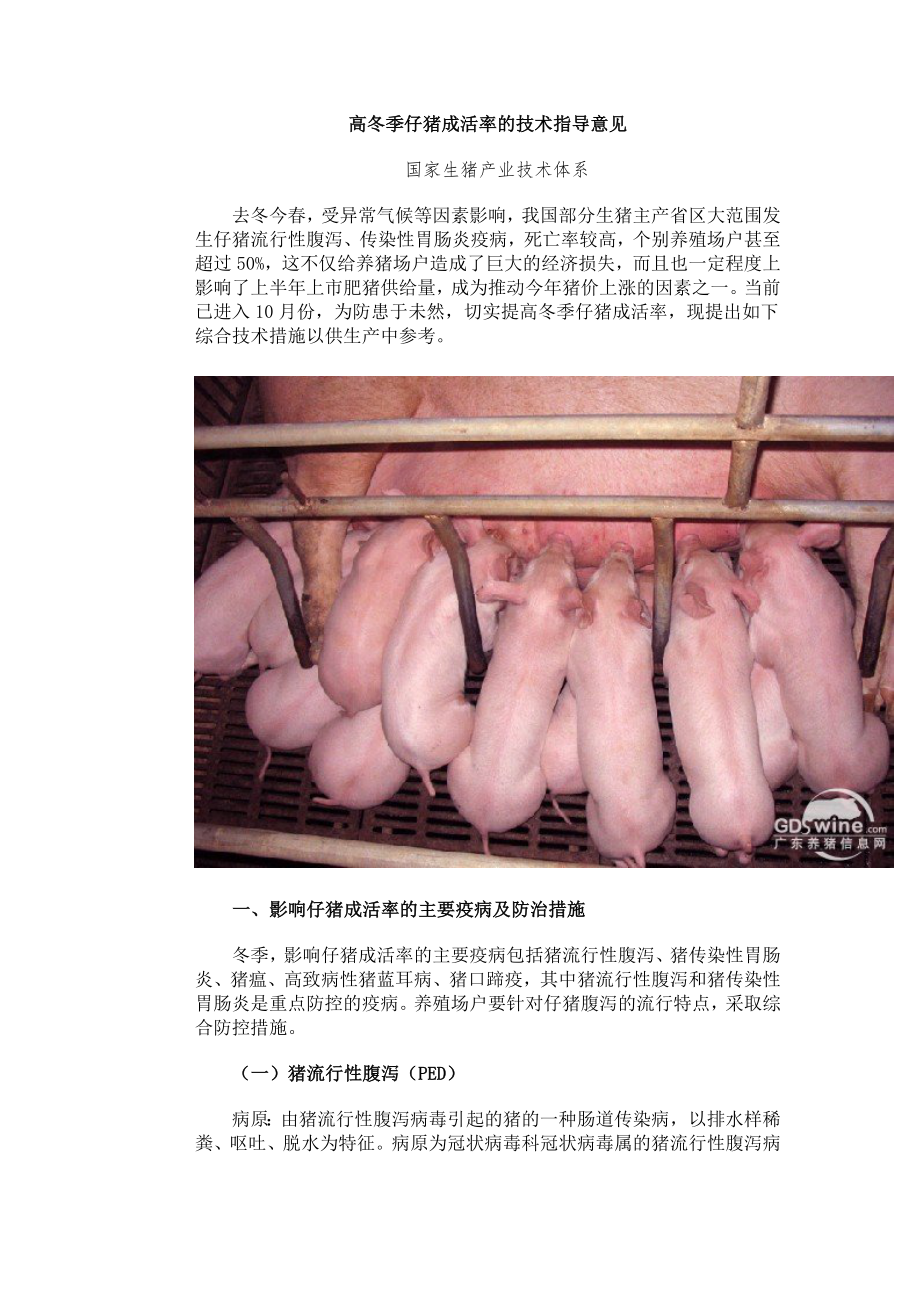 高冬季仔猪成活率的技术指导意见_第1页