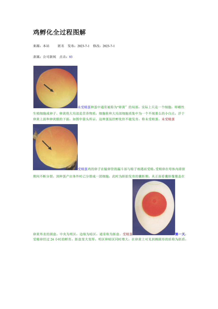 鸡孵化全过程图解_第1页