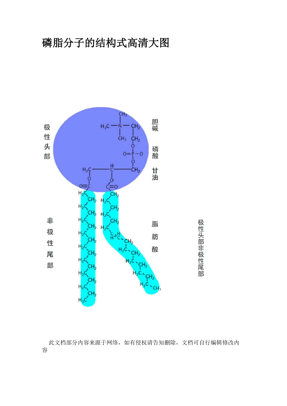 磷脂分子的结构式_第1页