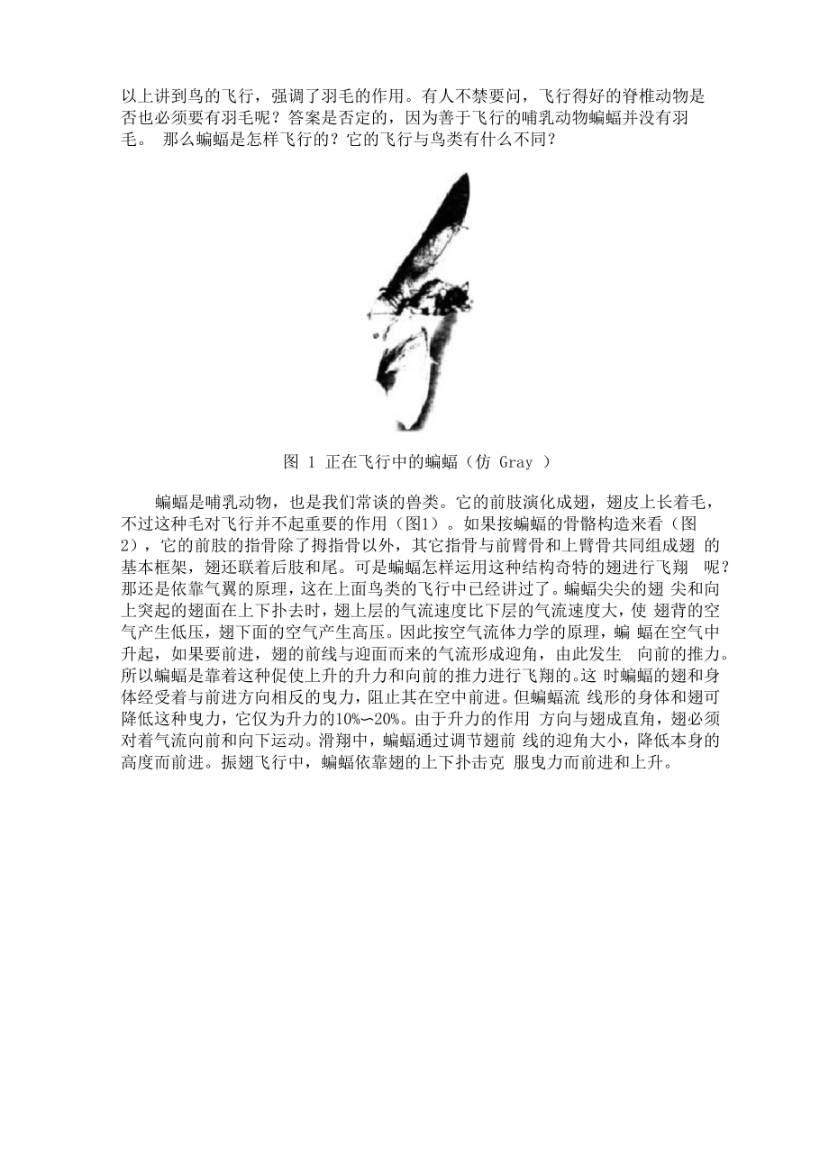 蝙蝠飞行资料_第1页