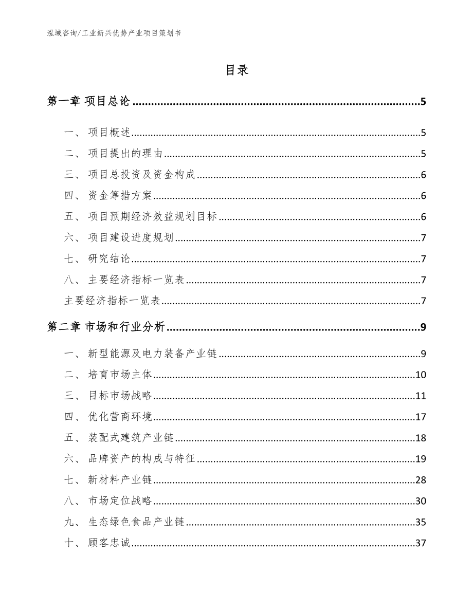 工业新兴优势产业项目策划书_第1页