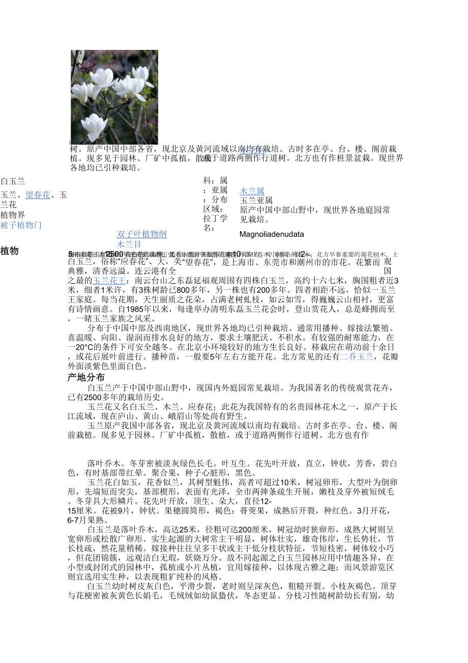白玉兰是玉兰花中开白色花的品种又名木兰_第1页