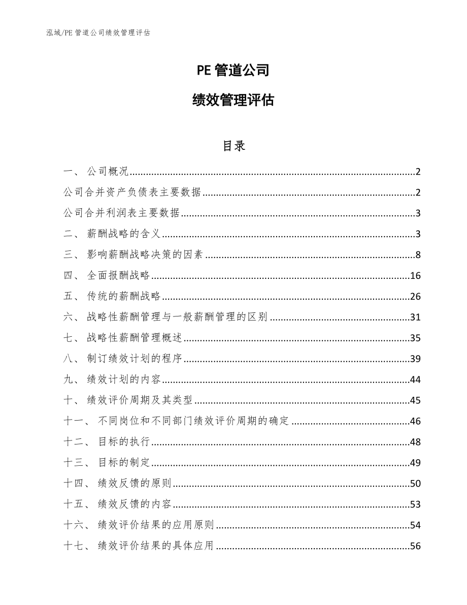 PE管道公司绩效管理评估_第1页
