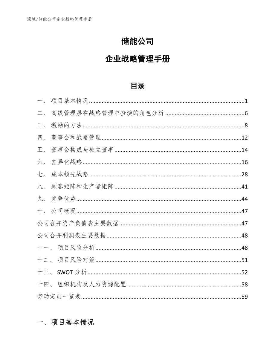 储能公司企业战略管理手册【范文】_第1页