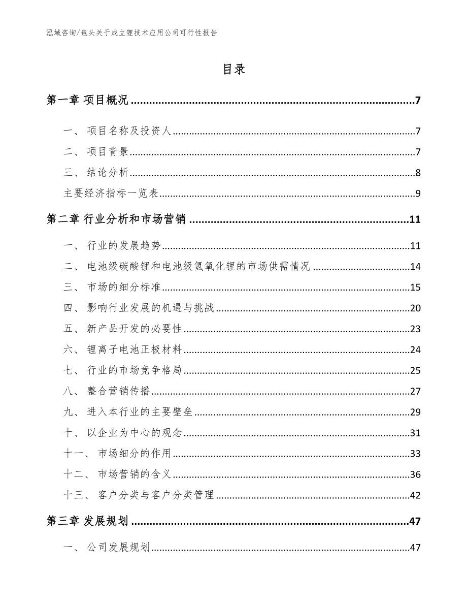 包头关于成立锂技术应用公司可行性报告【模板参考】_第1页