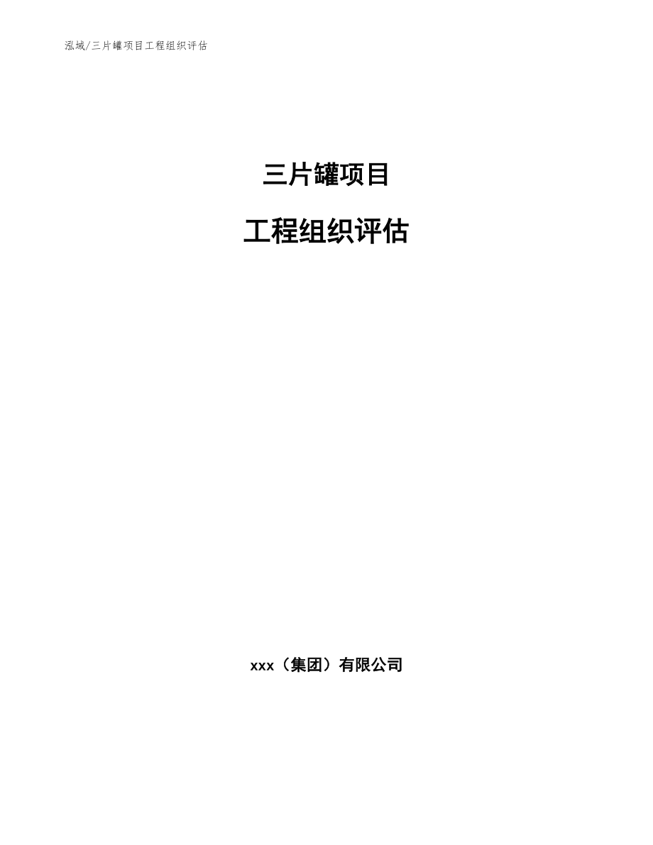 三片罐项目工程组织评估（参考）_第1页