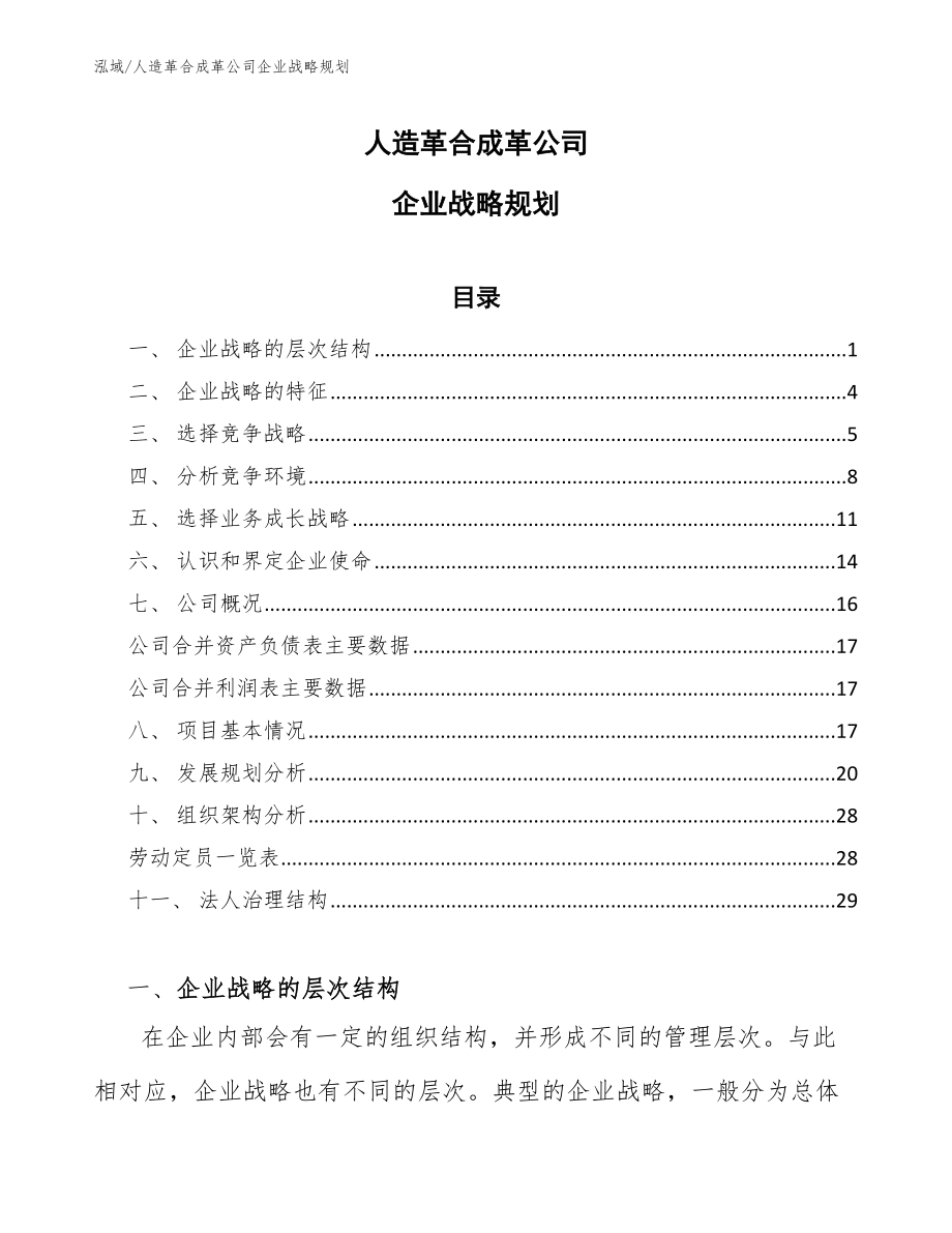 人造革合成革公司企业战略规划_参考_第1页