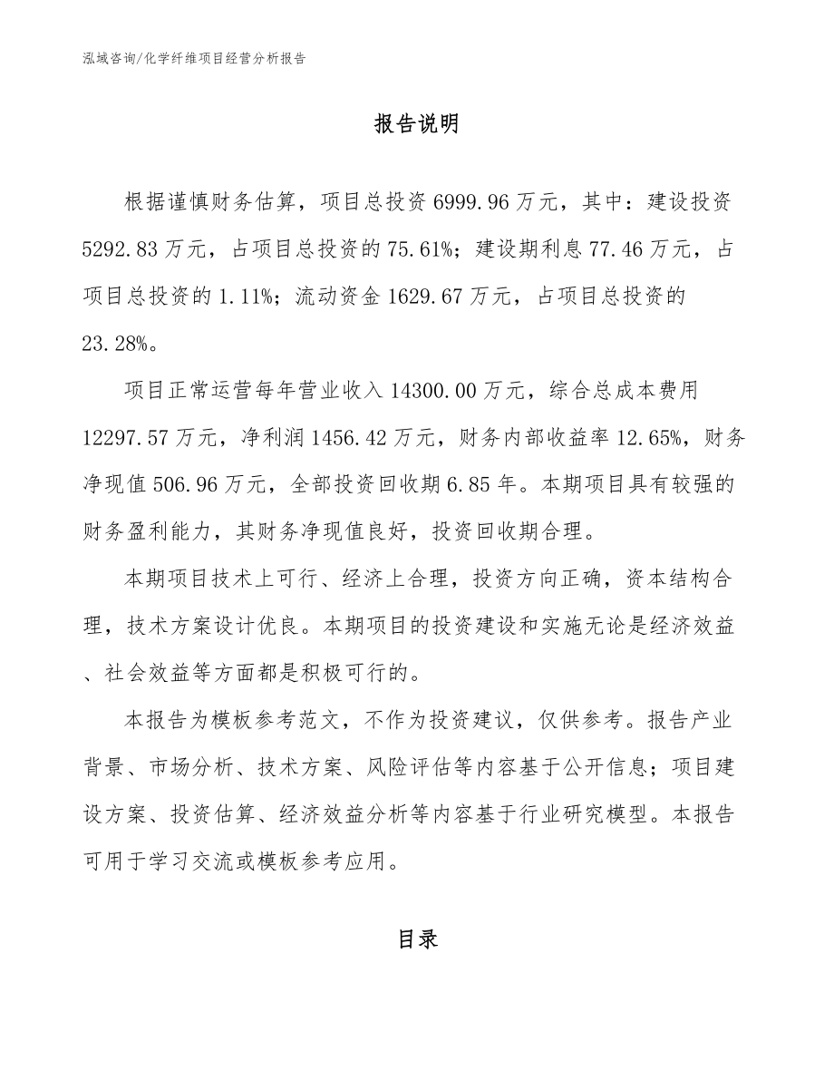 化学纤维项目经营分析报告_第1页
