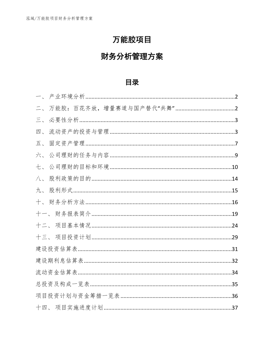 万能胶项目财务分析管理方案【参考】_第1页